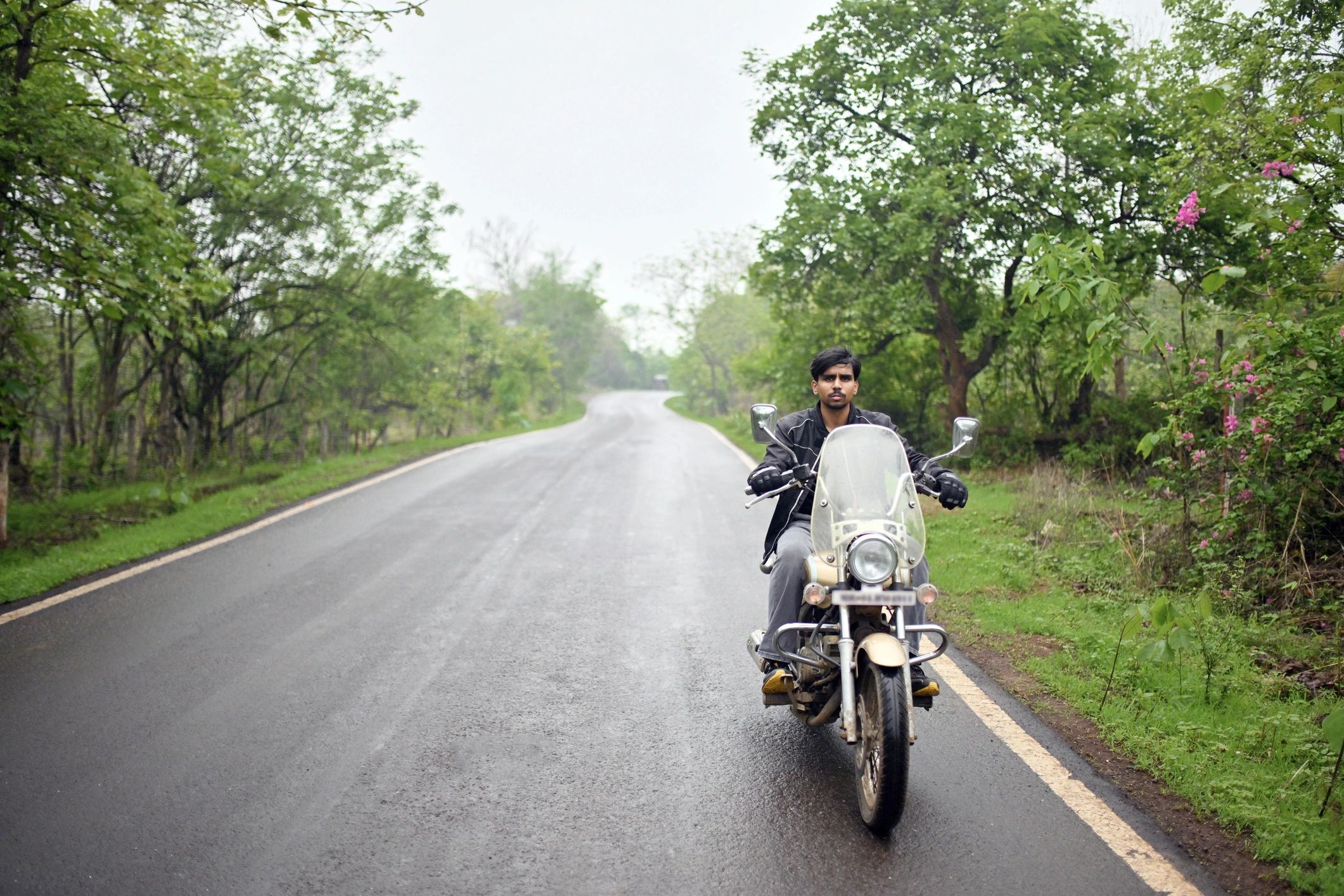 Motorcycle rider enjoying a scenic green roadside stop
